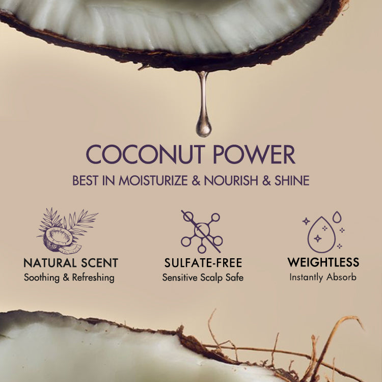 US Only | Wig Renewal Shampoo+Conditioner+Hair Oil-09