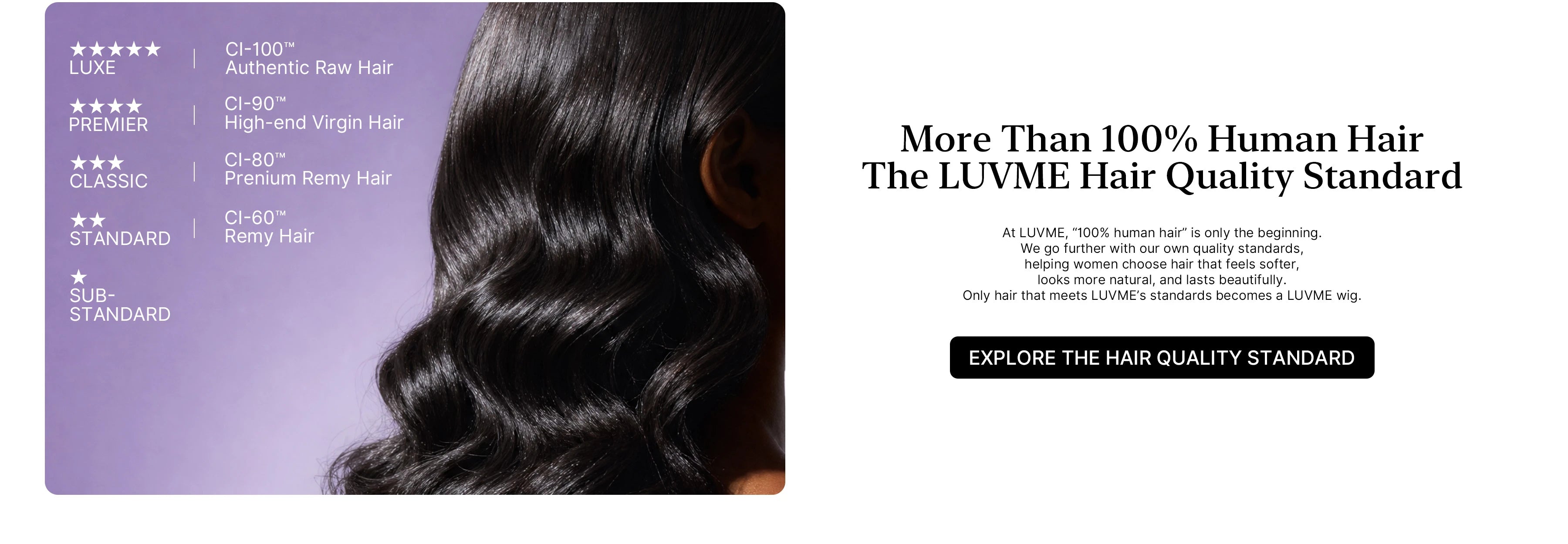 The_LUVME_Hair_Quality_Standard-PC