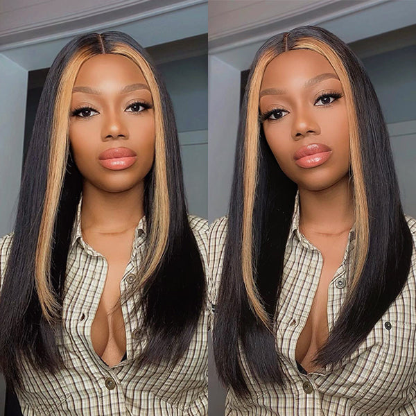 Mix Color Highlight Middle Part Lace Closure Wig